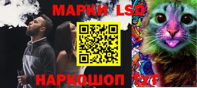apvp Ливны